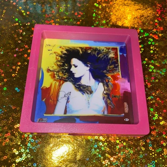 TAYLOR SWIFT MAX FEARLESS HOT PINK FRAMED ART CONCERT CONFETTI !! - Picture 3 of 7